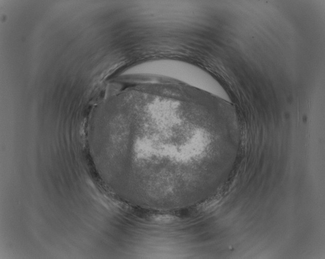 X0000087380360200705181248