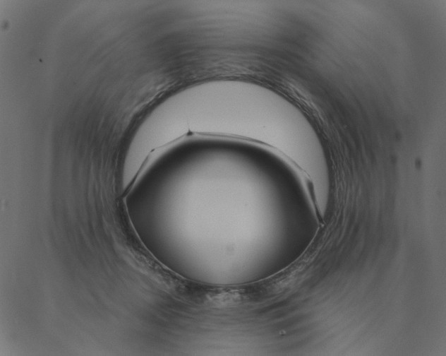 X0000087380362200705181248