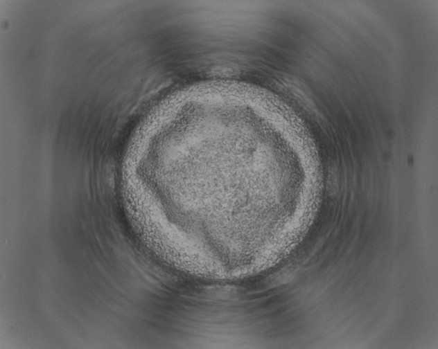 X0000087380363200705181248