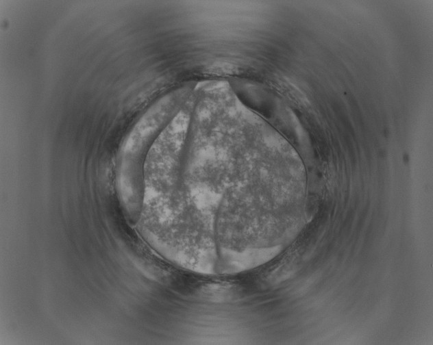 X0000087380364200705181248