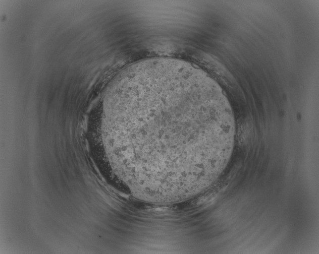 X0000087380365200705181248