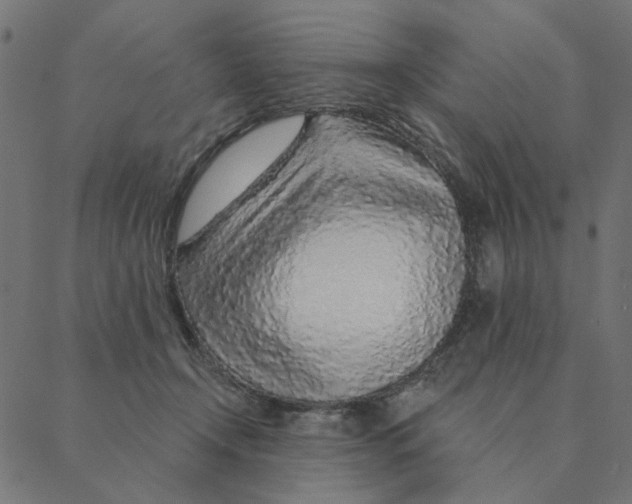 X0000087380366200705181248