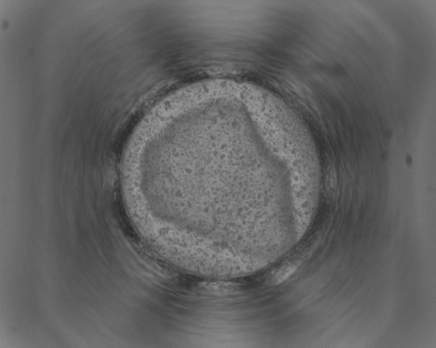 X0000087380367200705181248