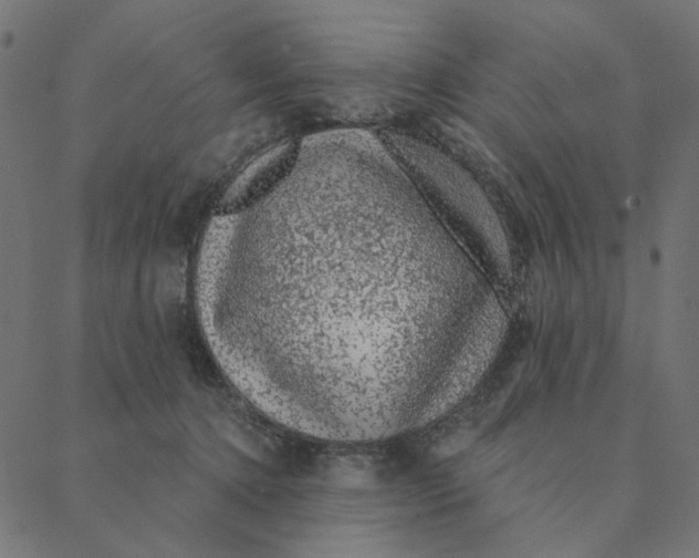 X0000087380368200705181248