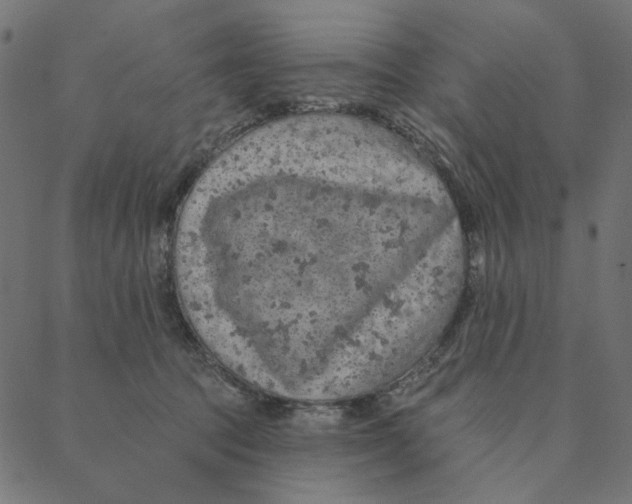 X0000087380369200705181248