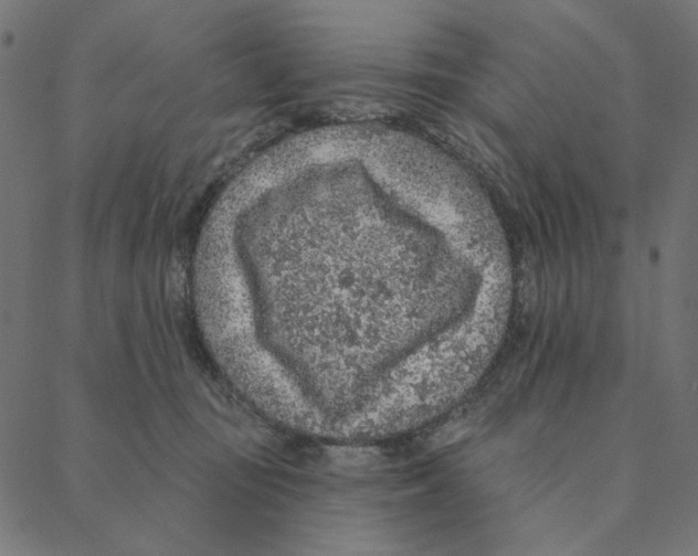 X0000087380371200705181248