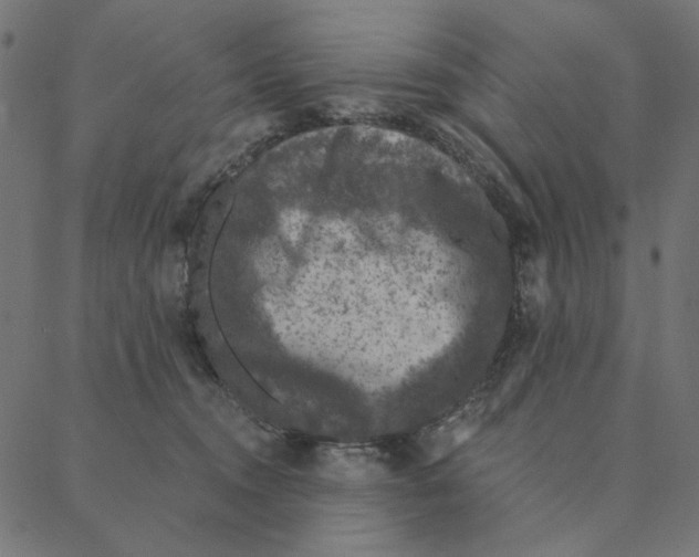 X0000087380372200705181248