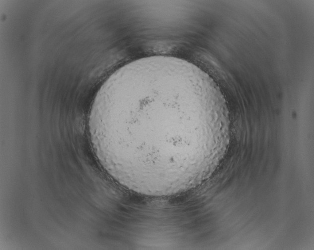 X0000087380374200705181248