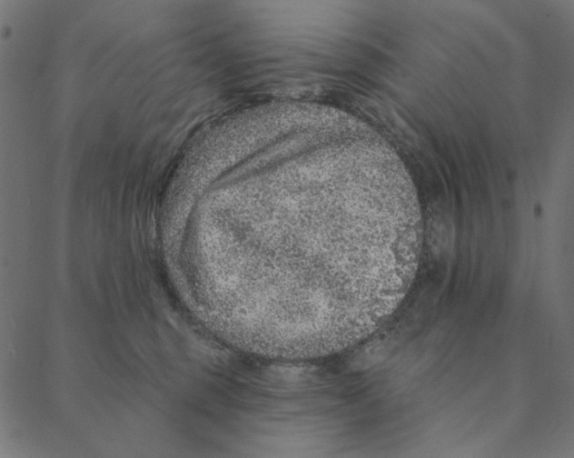 X0000087380375200705181248