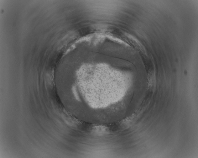 X0000087380376200705181248