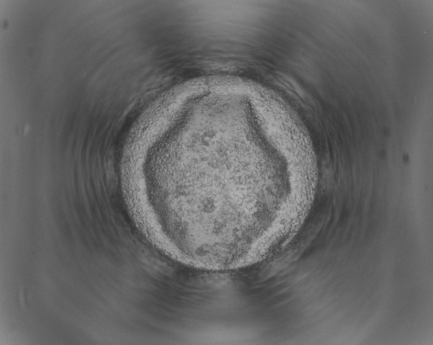 X0000087380377200705181248