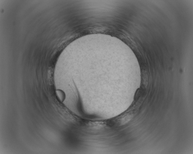 X0000087380378200705181248