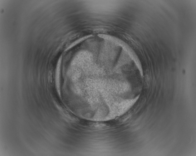 X0000087380379200705181248