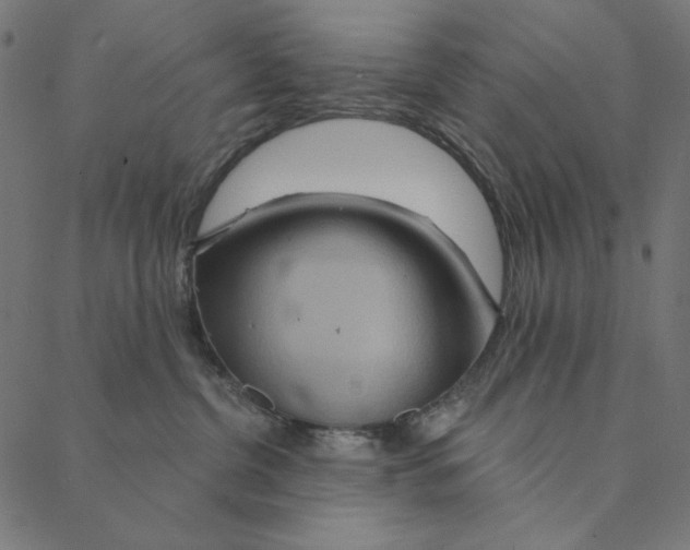 X0000087380380200705181248