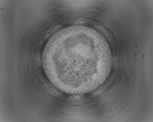 X0000087380381200705181248