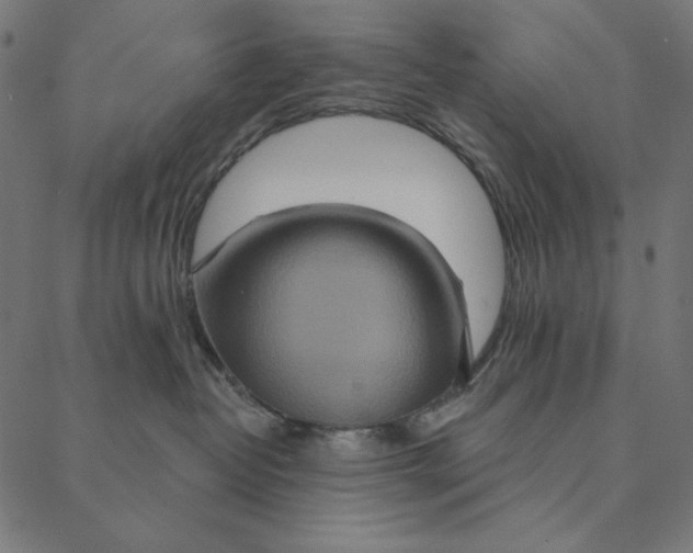 X0000087380382200705181248