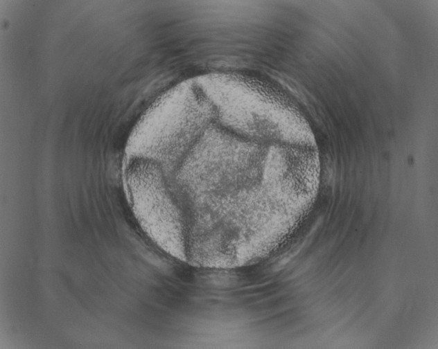 X0000087380383200705181248