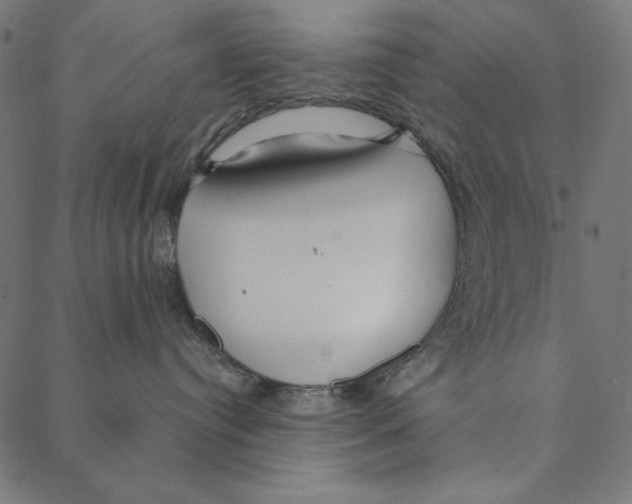 X0000087380384200705181248