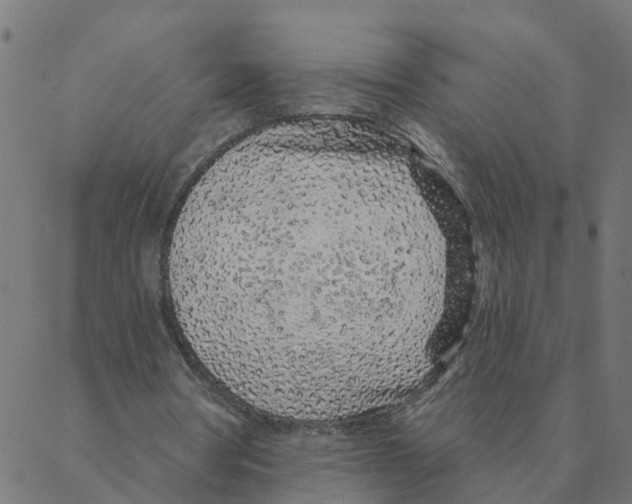 X0000087380386200705181247