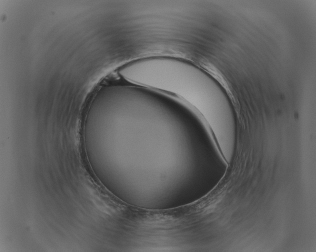 X0000087380387200705181247