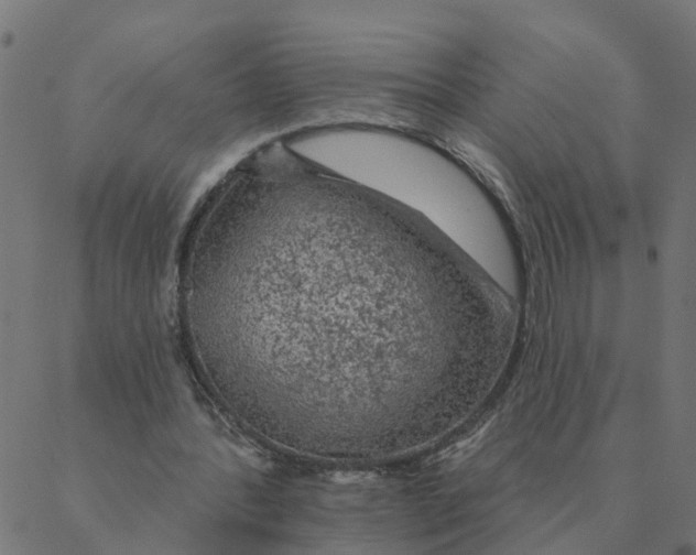 X0000087380388200705181247