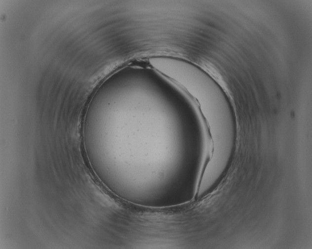 X0000087380389200705181247