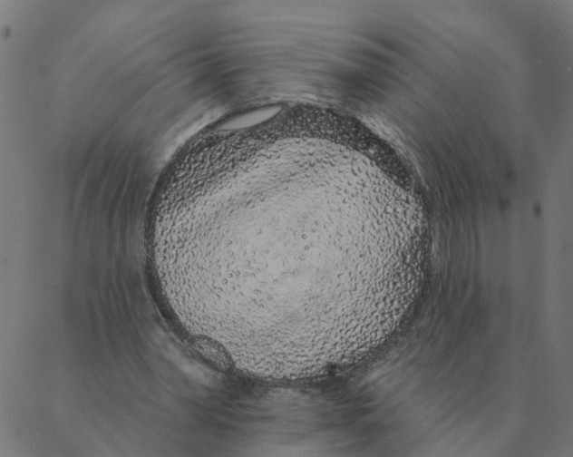 X0000087380390200705181247