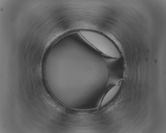 X0000087380391200705181247