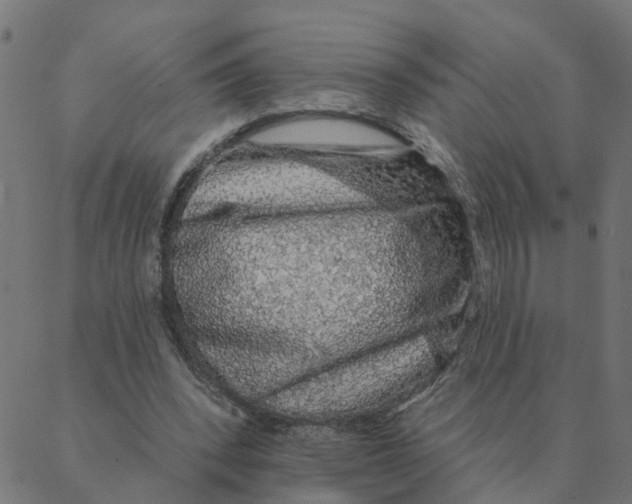 X0000087380392200705181247