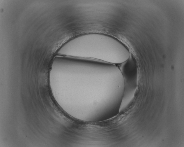 X0000087380393200705181247