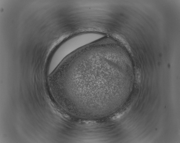 X0000087380395200705181247