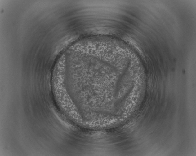 X0000087380398200705181247