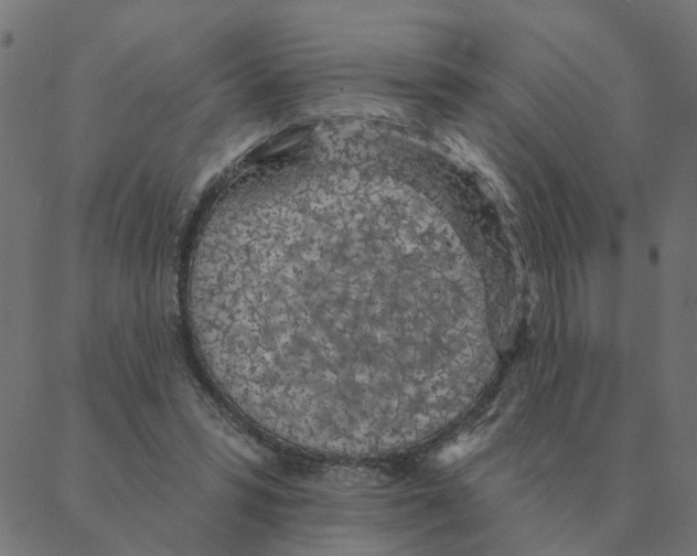 X0000087380399200705181247