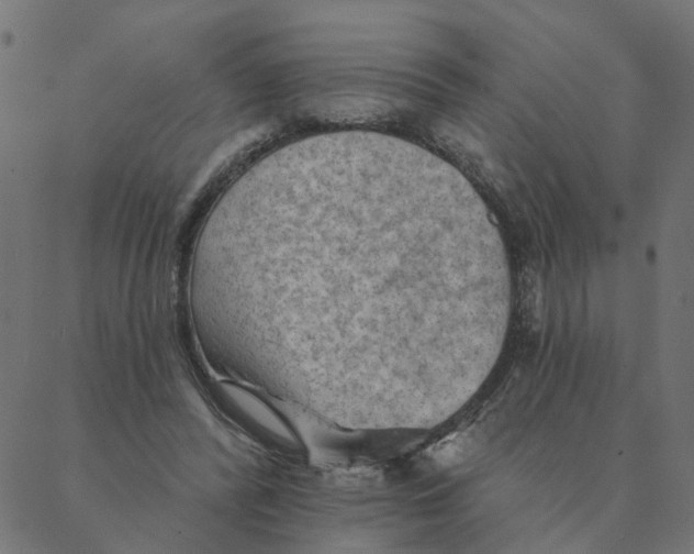 X0000087380400200705181247