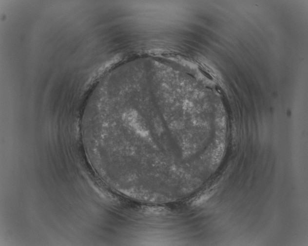 X0000087380401200705181247