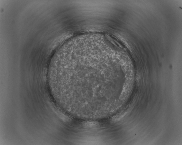 X0000087380402200705181247