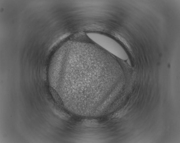 X0000087380403200705181247