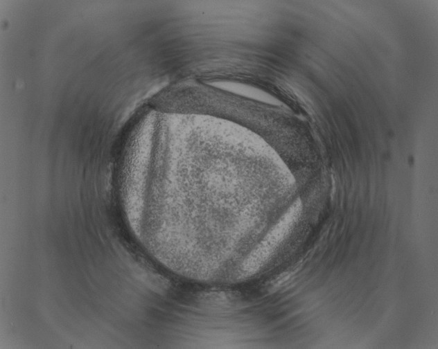 X0000087380404200705181247