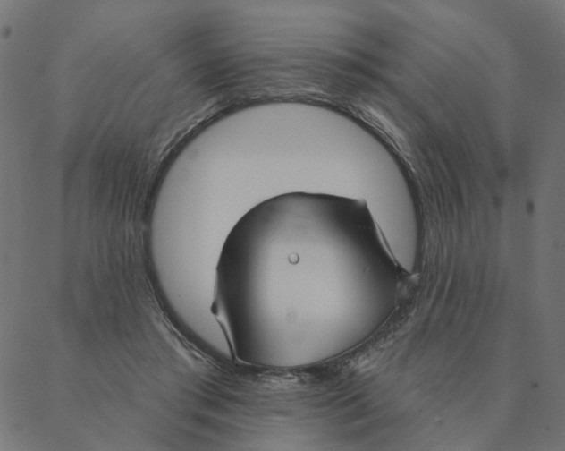 X0000087380405200705181247