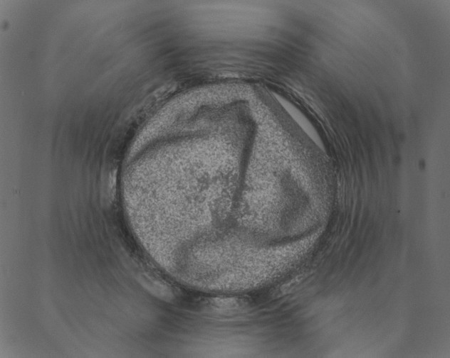 X0000087380406200705181247