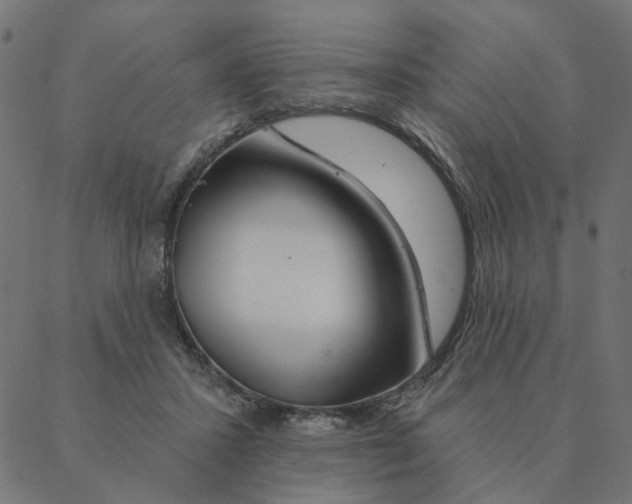 X0000087380407200705181247