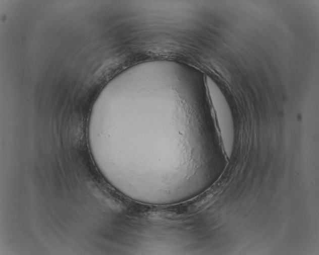 X0000087380408200705181247