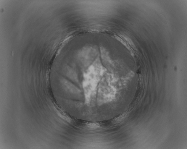 X0000087380409200705181247