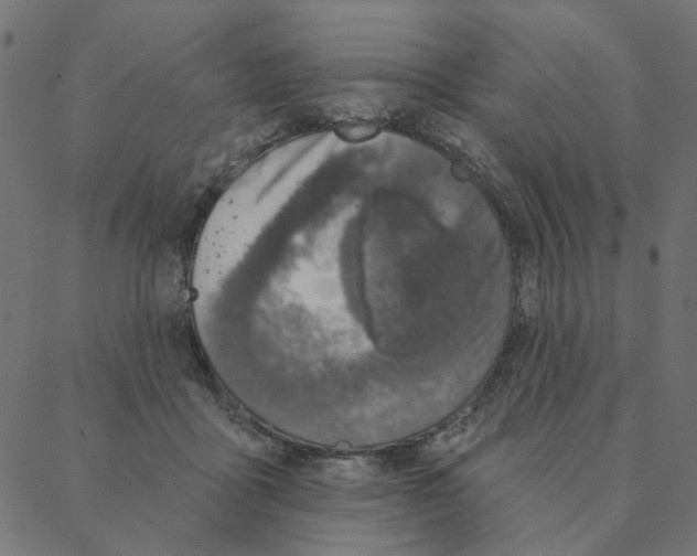 X0000087380411200705181247