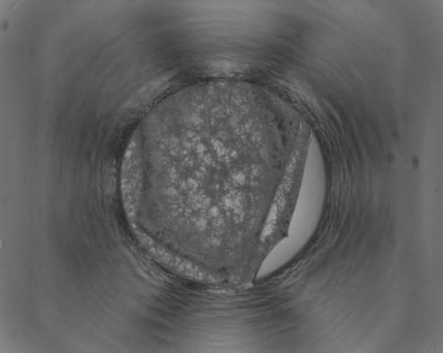 X0000087380413200705181247