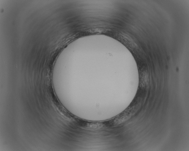 X0000087380414200705181247