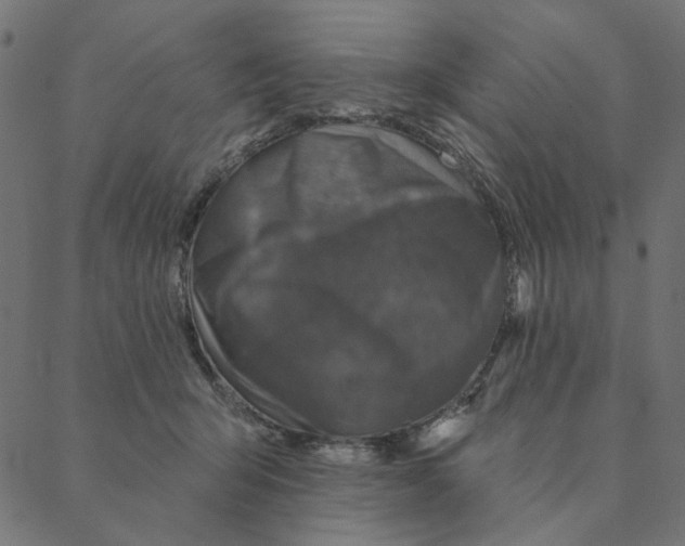 X0000087380415200705181247