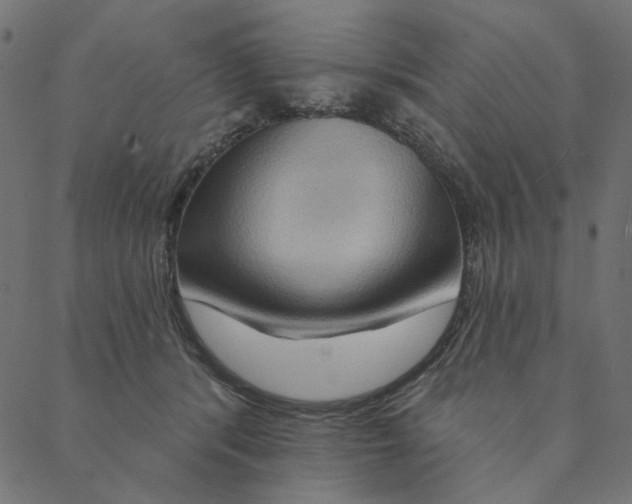 X0000087380416200705181247