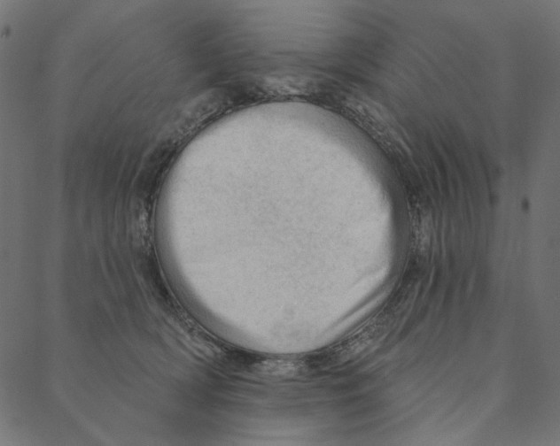 X0000087380418200705181247