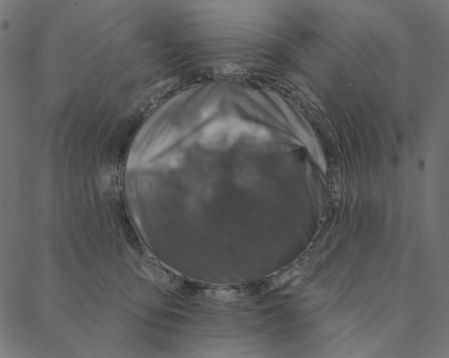 X0000087380419200705181247